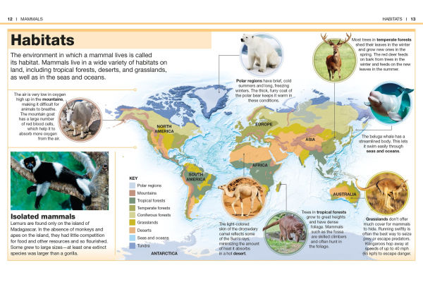 Pocket Genius: Mammals: Facts at Your Fingertips