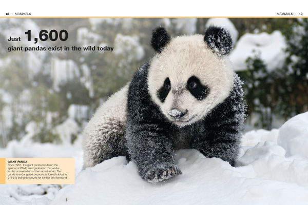 Pocket Genius: Mammals: Facts at Your Fingertips