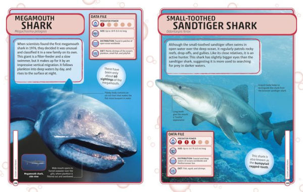 Sharks and Other Deadly Ocean Creatures Visual Encyclopedia