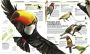 Alternative view 2 of Knowledge Encyclopedia Animal!: The Animal Kingdom as You've Never Seen It Before