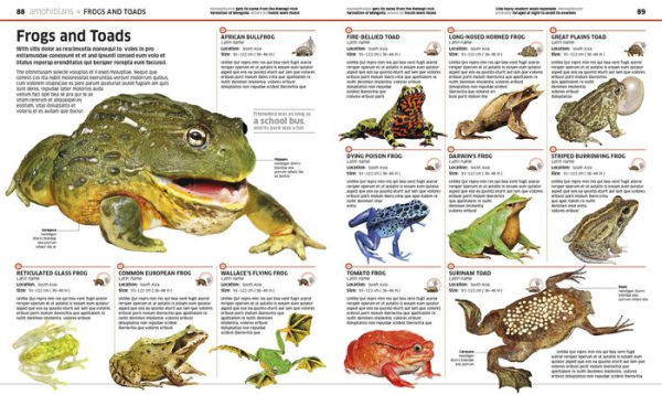 Knowledge Encyclopedia Animal!: The Animal Kingdom as You've Never Seen It Before