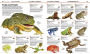 Alternative view 9 of Knowledge Encyclopedia Animal!: The Animal Kingdom as You've Never Seen It Before