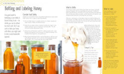 Alternative view 2 of Beginning Beekeeping: Everything You Need to Make Your Hive Thrive!