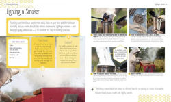 Alternative view 3 of Beginning Beekeeping: Everything You Need to Make Your Hive Thrive!