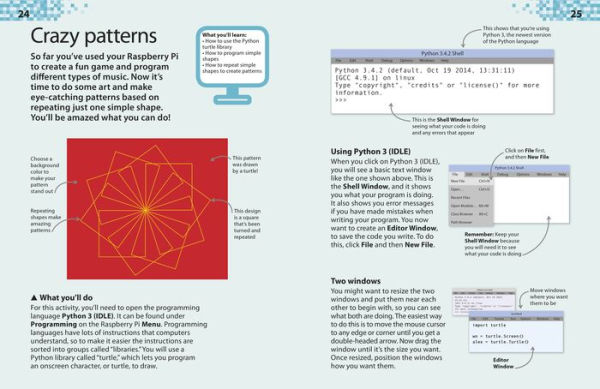 DK Workbooks: Raspberry Pi Projects: An Introduction to the Raspberry Pi Computer