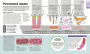 Alternative view 4 of How Food Works: The Facts Visually Explained