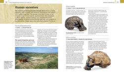 Alternative view 3 of World History: From the Ancient World to the Information Age