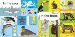 Alternative view 2 of 100 First Animals