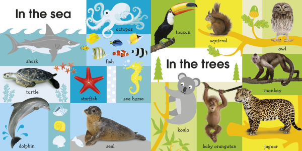 100 First Animals