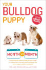 Your Bulldog Puppy Month by Month: Everything You Need to Know at Each Stage to Ensure Your Cute and Playful Puppy