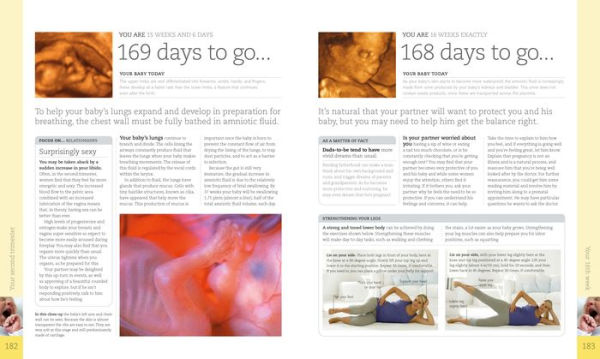 Pregnancy Day By Day: An Illustrated Daily Countdown to Motherhood, from Conception to Childbirth and