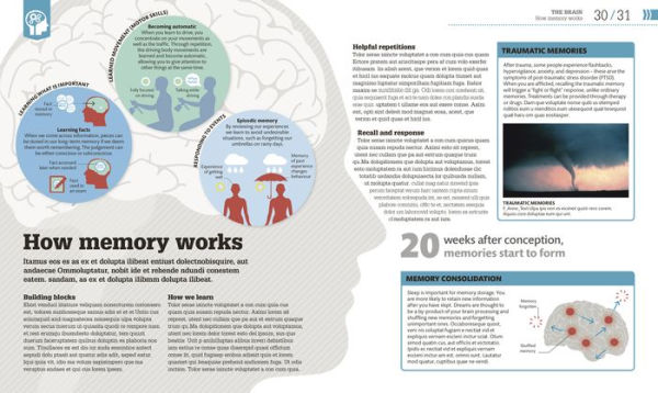 How Psychology Works: The Facts Visually Explained