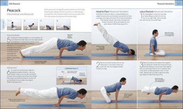 Yoga: Your Home Practice Companion: A Complete Practice and Lifestyle Guide: