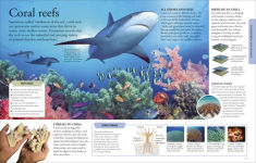 Alternative view 3 of The New Children's Encyclopedia: Packed with Thousands of Facts, Stats, and Illustrations