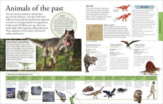 Alternative view 4 of The New Children's Encyclopedia: Packed with Thousands of Facts, Stats, and Illustrations