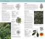 Alternative view 10 of Herbal Remedies Handbook: More Than 140 Plant Profiles; Remedies for Over 50 Common Conditions