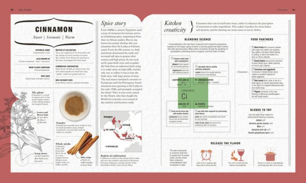 The Science of Spice: Understand Flavor Connections and Revolutionize Your Cooking