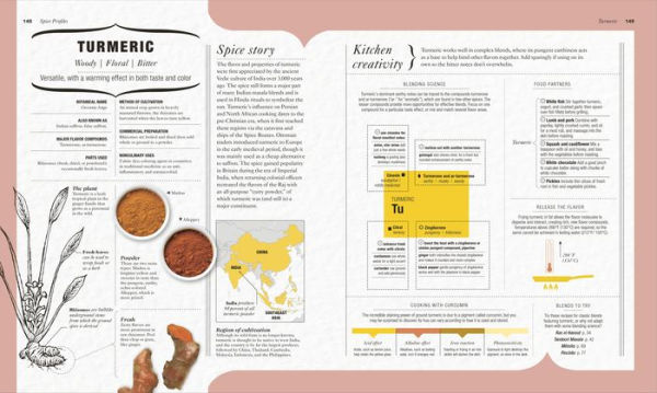 The Science of Spice: Understand Flavor Connections and Revolutionize Your Cooking