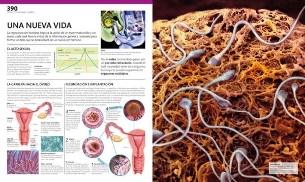 El gran libro del cuerpo humano (The Complete Human Body): Segunda edición. Ampliada y actualizada