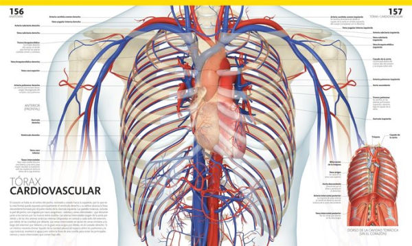 El gran libro del cuerpo humano (The Complete Human Body): Segunda edición. Ampliada y actualizada