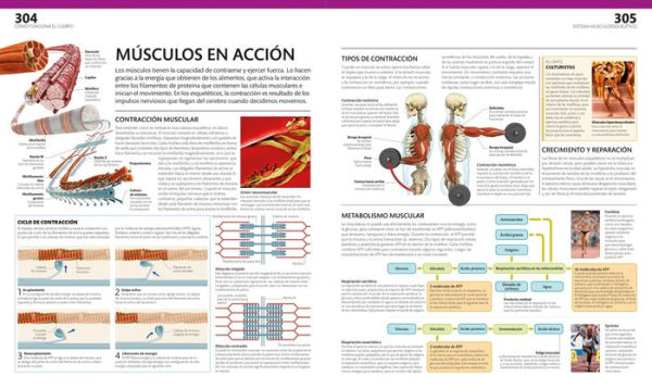 El gran libro del cuerpo humano (The Complete Human Body): Segunda edición. Ampliada y actualizada