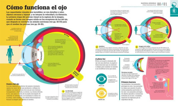 Cómo funciona el cuerpo humano (How the Body Works): Guía gráfica de nuestro organismo