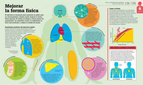 Cómo funciona el cuerpo humano (How the Body Works): Guía gráfica de nuestro organismo