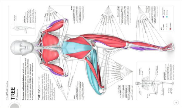 Science of Yoga: Understand the Anatomy and Physiology to Perfect Your Practice