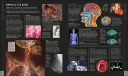 Alternative view 2 of The Human Body Book: An Illustrated Guide to its Structure, Function, and Disorders