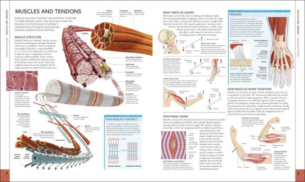 The Human Body Book: An Illustrated Guide to its Structure, Function, and Disorders