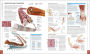 Alternative view 3 of The Human Body Book: An Illustrated Guide to its Structure, Function, and Disorders