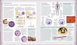 Alternative view 4 of The Human Body Book: An Illustrated Guide to its Structure, Function, and Disorders