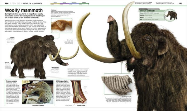 Knowledge Encyclopedia Dinosaur!: Over 60 Prehistoric Creatures as You've Never Seen Them Before