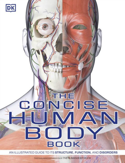 drawing the human body book