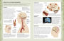 Alternative view 5 of The Concise Human Body Book