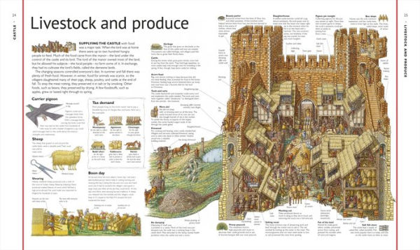 Stephen Biesty's Cross-Sections Castle