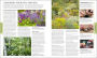 Alternative view 8 of Encyclopedia of Plants and Flowers