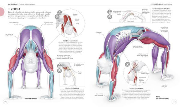 Anatomía del Yoga (Science of Yoga): Un estudio fisiológico postura a postura