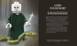 Alternative view 4 of LEGO Harry Potter The Magical Guide to the Wizarding World