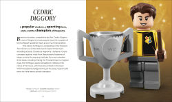 Alternative view 5 of LEGO Harry Potter The Magical Guide to the Wizarding World