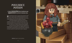 Alternative view 7 of LEGO Harry Potter The Magical Guide to the Wizarding World