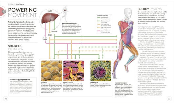 Science of Running: Analyze your Technique, Prevent Injury, Revolutionize your Training