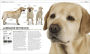Alternative view 3 of The Complete Dog Breed Book, New Edition
