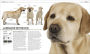 Alternative view 7 of The Complete Dog Breed Book, New Edition