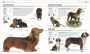 Alternative view 8 of The Complete Dog Breed Book, New Edition