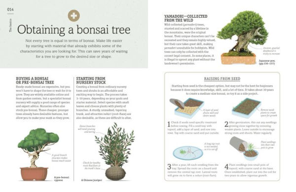 Happy Bonsai: Choose It, Shape It, Love It