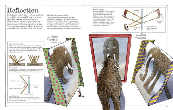 Mammoth Science: The Big Ideas That Explain Our World