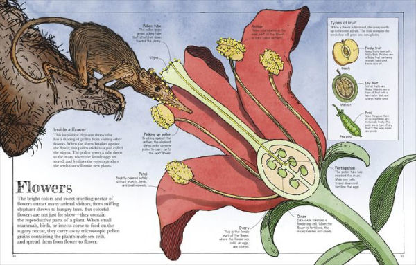 Mammoth Science: The Big Ideas That Explain Our World