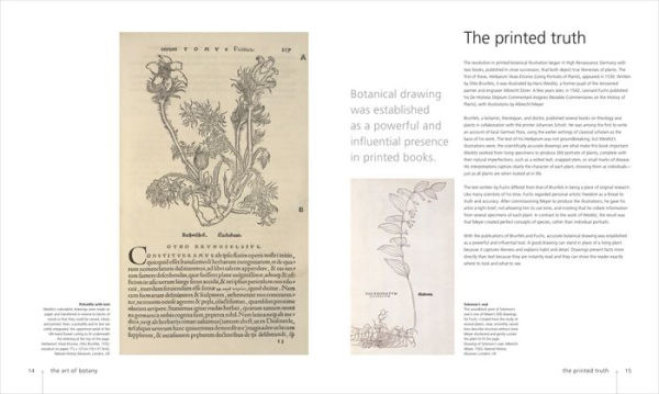 Botany for the Artist