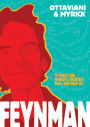 Alternative view 3 of Feynman